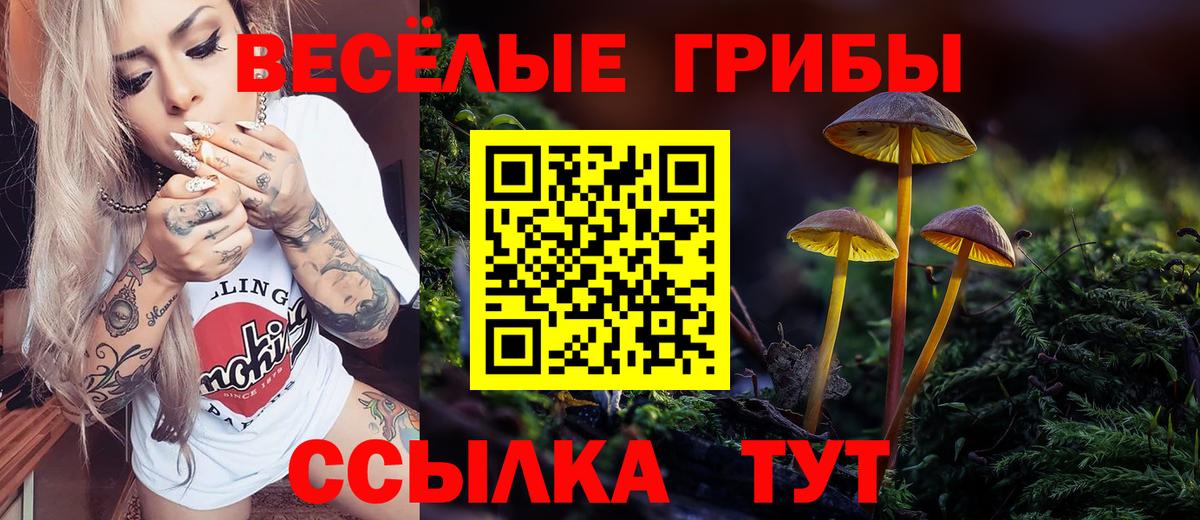 Псилоцибиновые грибы GOLDEN TEACHER Керчь