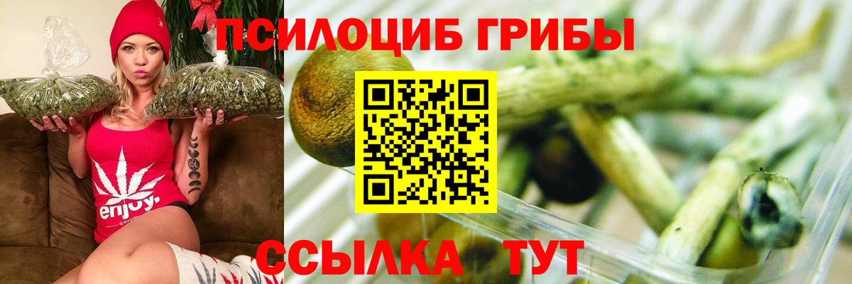 Псилоцибиновые грибы Psilocybe  Вход с VPN  Керчь 